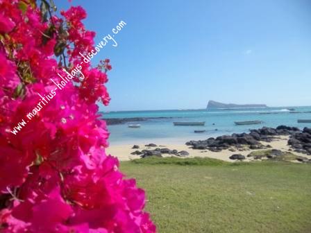 Summer in Mauritius