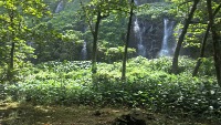 Anse Des Cascades, Réunion Island