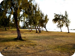 Beaches of Mauritius, Anse la Raie