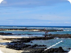 Mauritius beach, Palmar