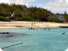 Palmar Beach, Mauritius