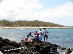 Mauritius beach, Palmar