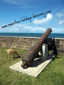 Pointe du Diable, Mauritius