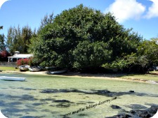 Beaches of Mauritius, Cap Malheureux