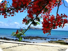 Cap Malheureux Beach in Mauritius