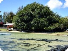 Beaches of Mauritius, Cap Malheureux