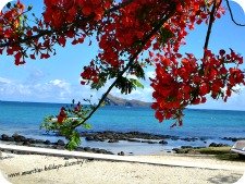 Cap Malheureux Beach in Mauritius