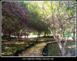 Garden At Mauritius Vortex